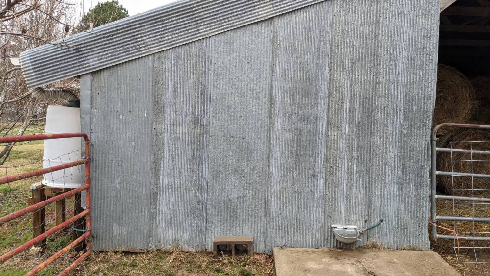 Metal barn with barrel for water catchment and gravity-fed bowl waterer.