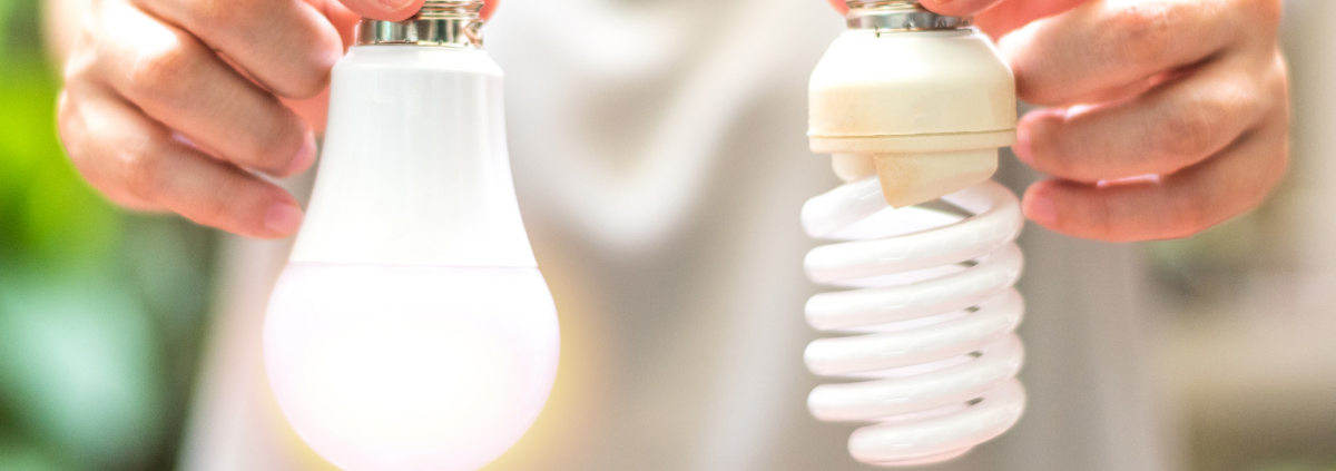 person holding light bulbs