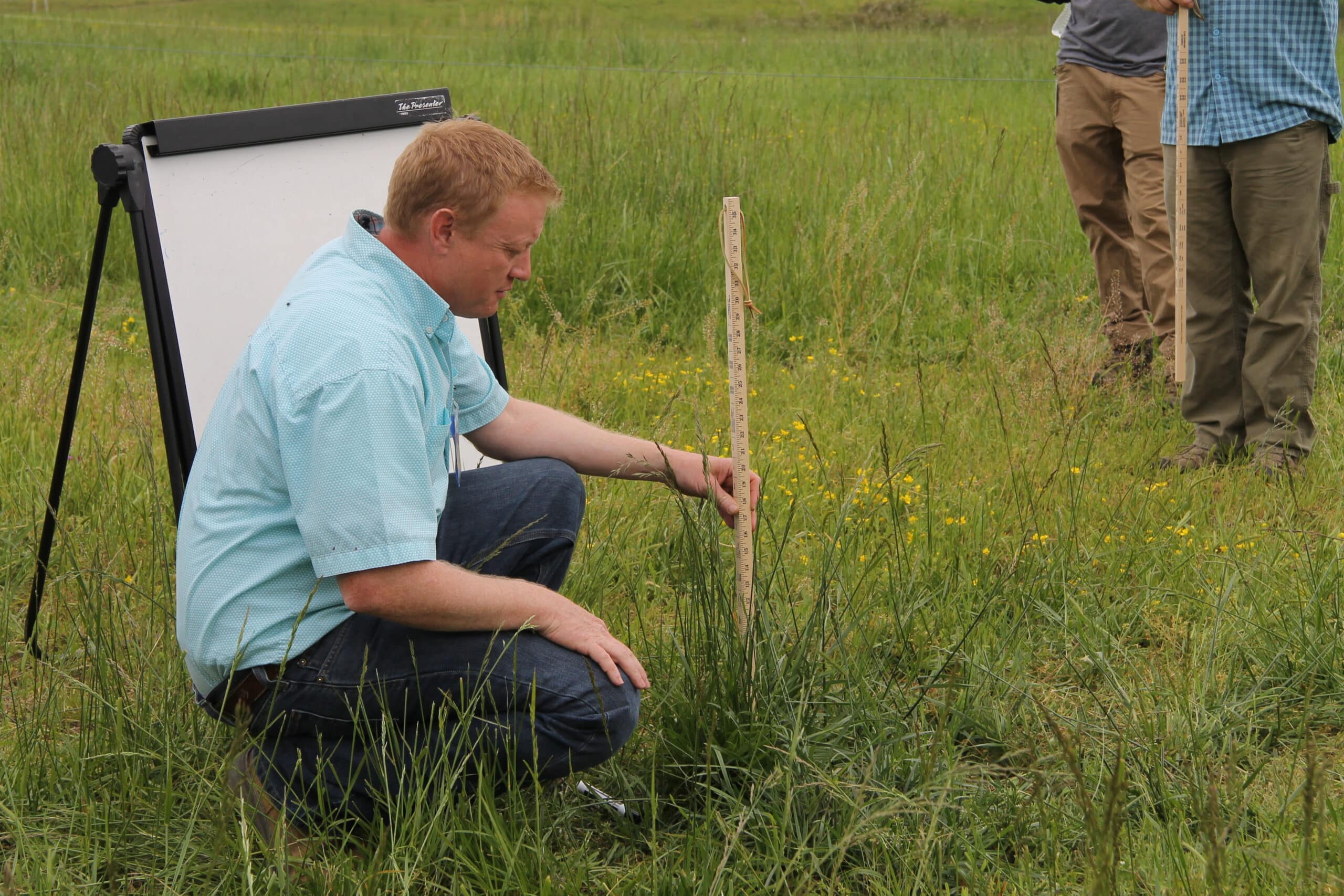 man crouches outdoors with grazing stick in front of white board easel