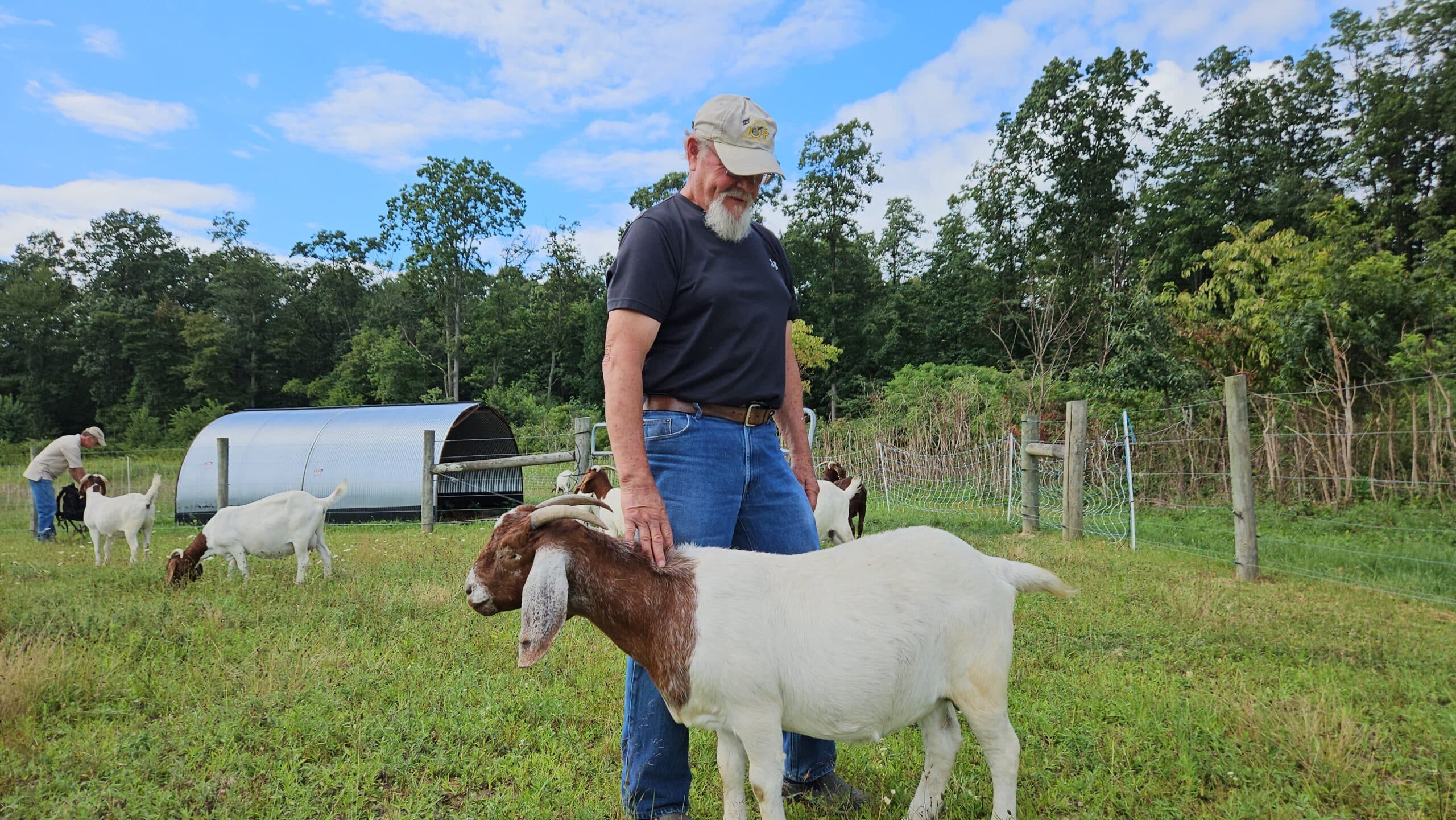 A standing man touches a boer goat on the neck, in a pasture
