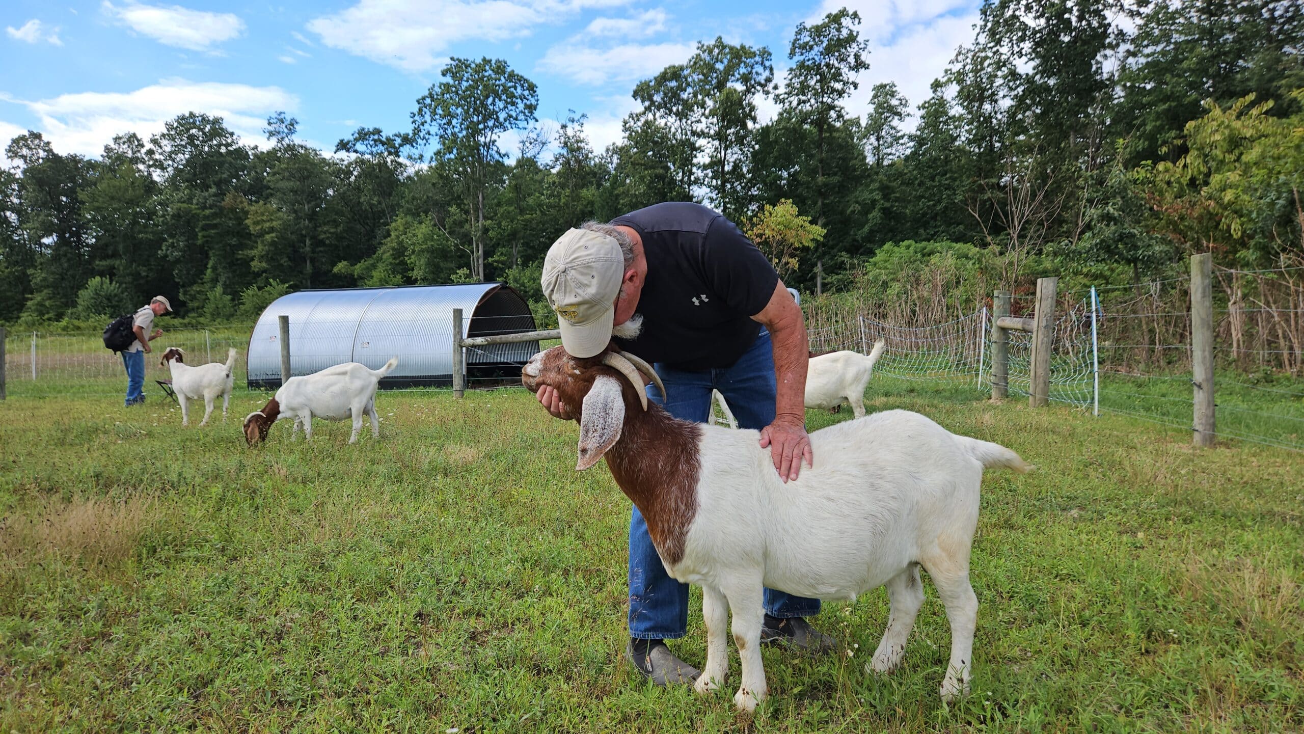 A man in hat bends over a boer goat with one hand on its back, outdoors.