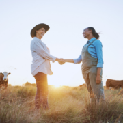 Two women shaking hands while standing in a field with cattle.
