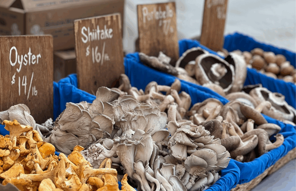 Mushrooms at farmers market Farmers market display of oyster, shitake, and portobello mushrooms.