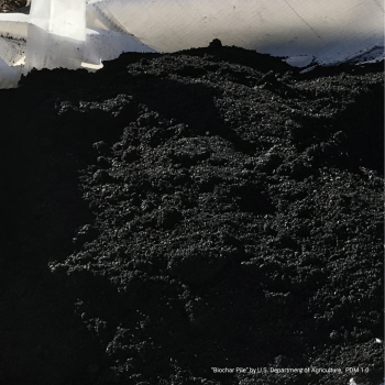Photo of a pile of black biochar.