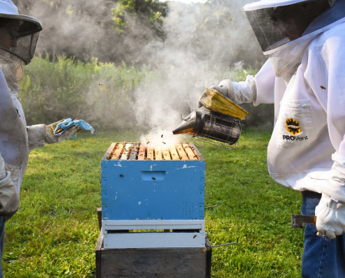 Two people in bee suits on either side of an open Langstroth beehive, one of them adding smoke to the hive.