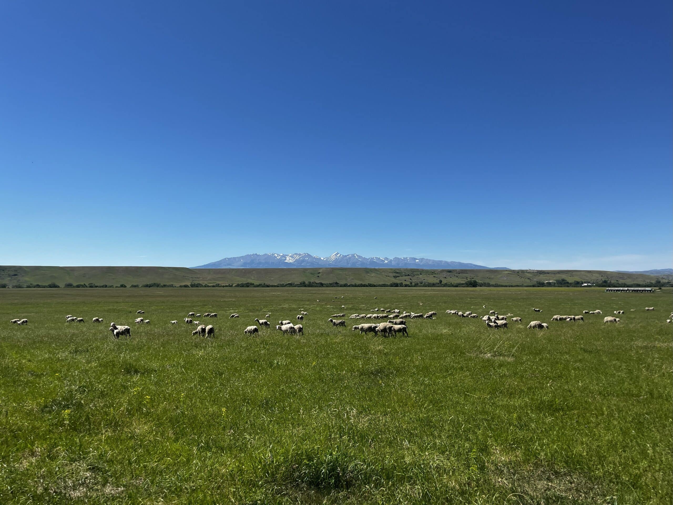 Rocky Mountain West