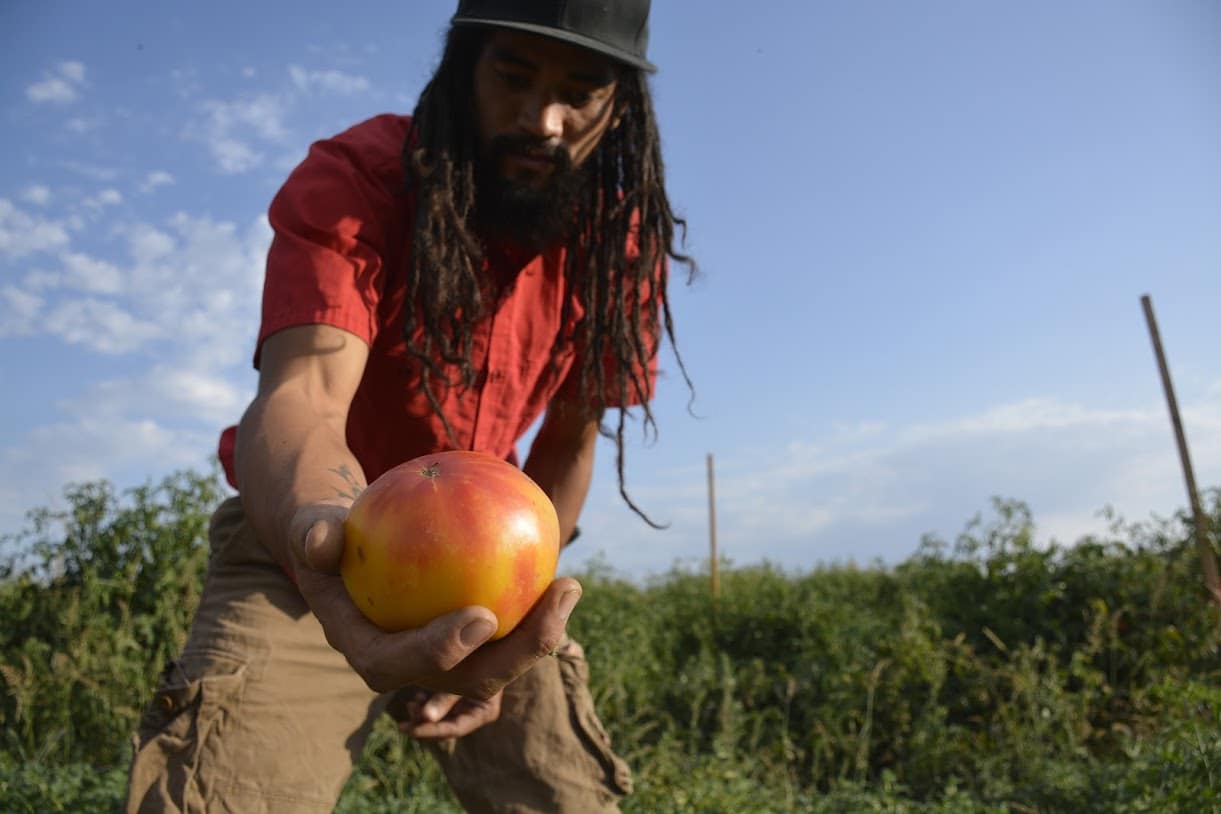 True Roots Organic