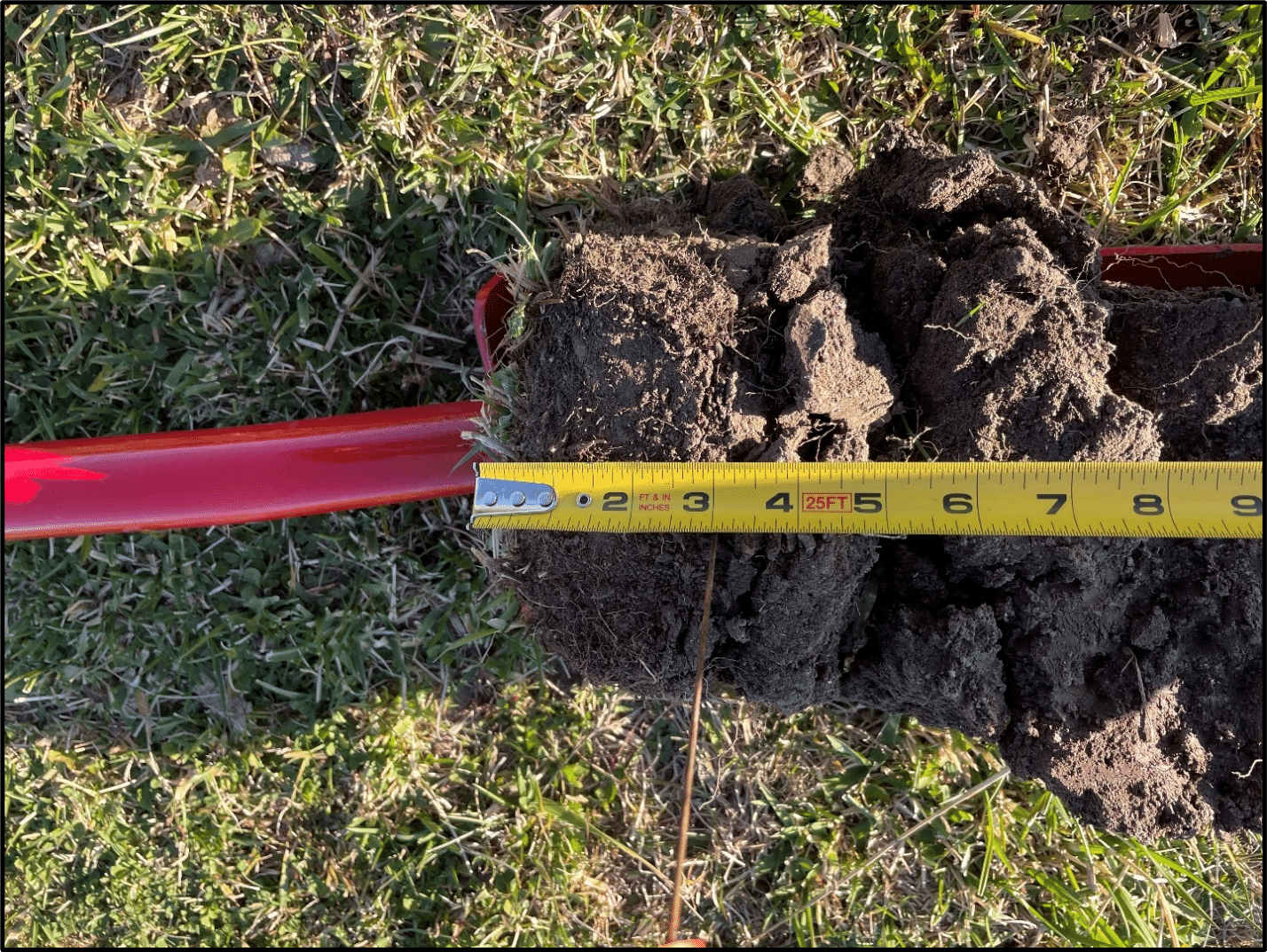 Suelo colocado horizontalmente sobre la superficie del pastizal, que presenta un estado de compactación del césped hasta una profundidad de 7,6 cm. El suelo por debajo de esa profundidad está muy compactado, ya que se desagrega de forma natural en grandes terrones horizontales por los que crecen muy pocas raíces. 