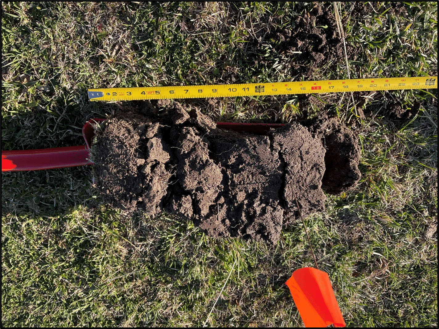 Una muestra de tierra de 45 cm de largo colocada horizontalmente en un prado para facilitar la observación de la estructura del suelo y la profundidad de las raíces