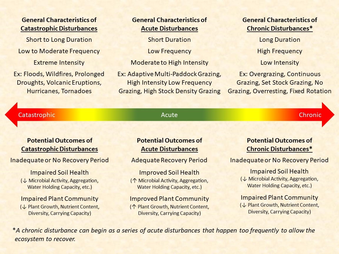 characteristics of disturbances