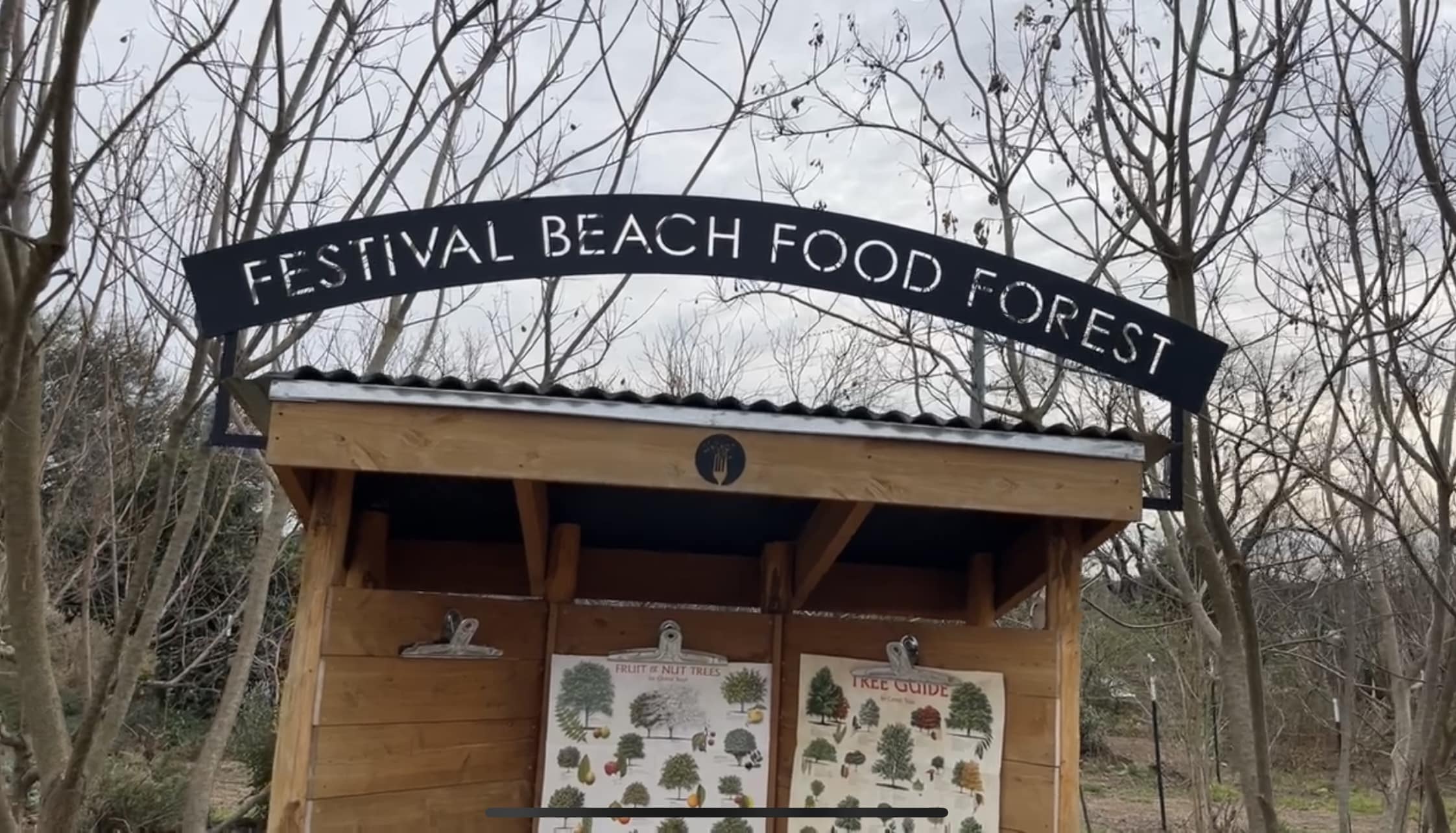 Festival Beach