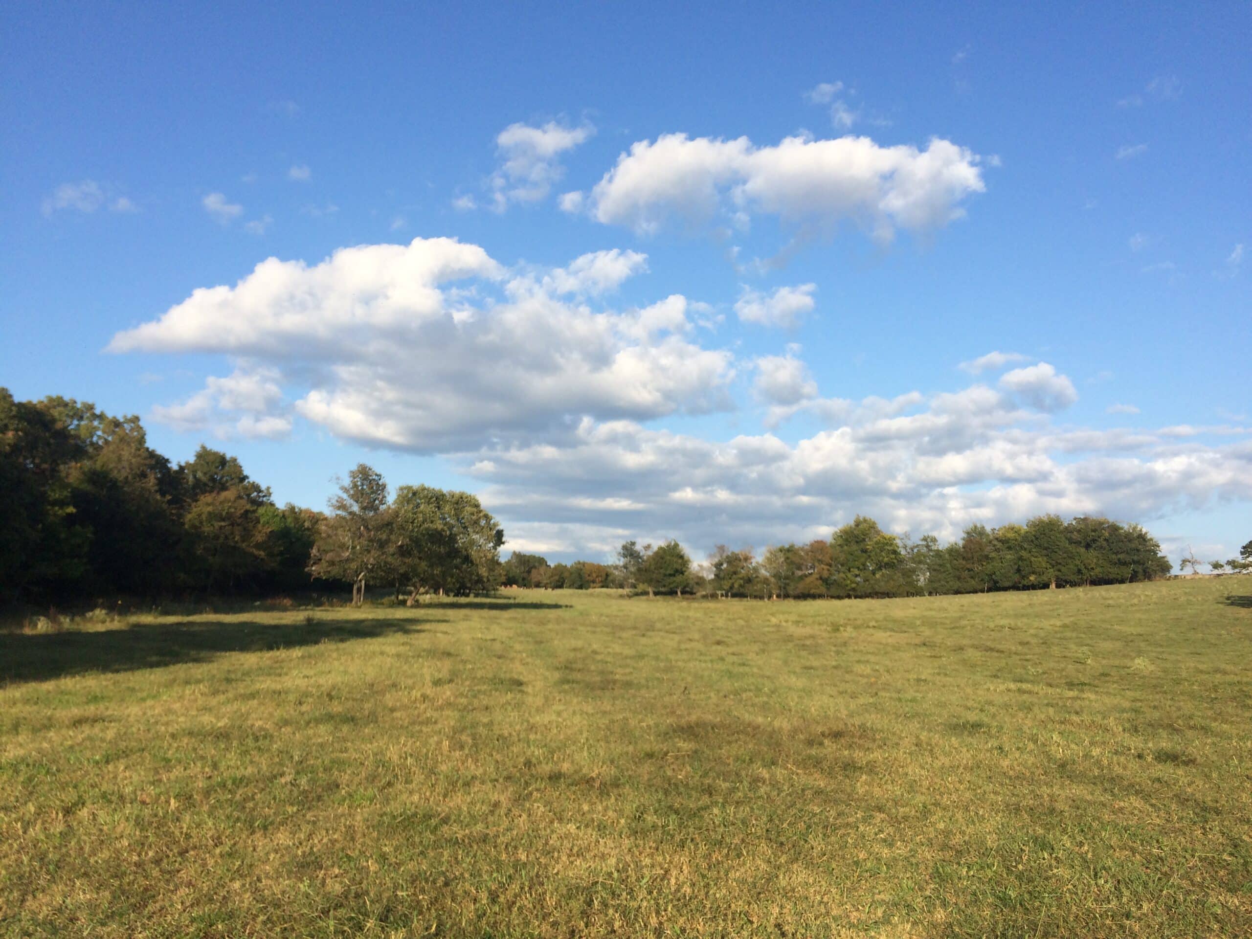 open field with blue sky
