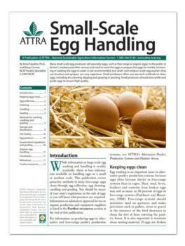 Small-Scale Egg Handling cover