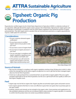 Tipsheet: Organic Pig Production cover