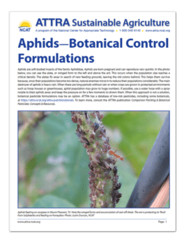 Aphids — Botanical Control Formulations cover