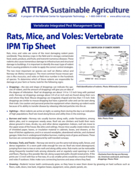 Rats, Mice, and Voles: Vertebrate IPM Tip Sheet cover