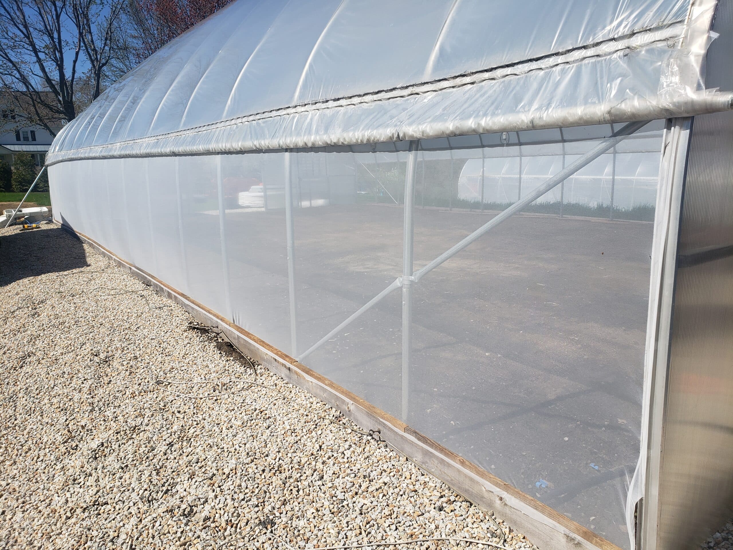 insect netting on high tunnel