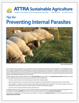 Tips for: Preventing Internal Parasites cover