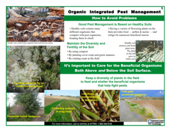 Organic IPM Field Guide cover