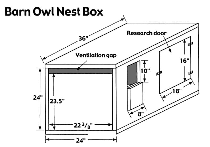 Owl box