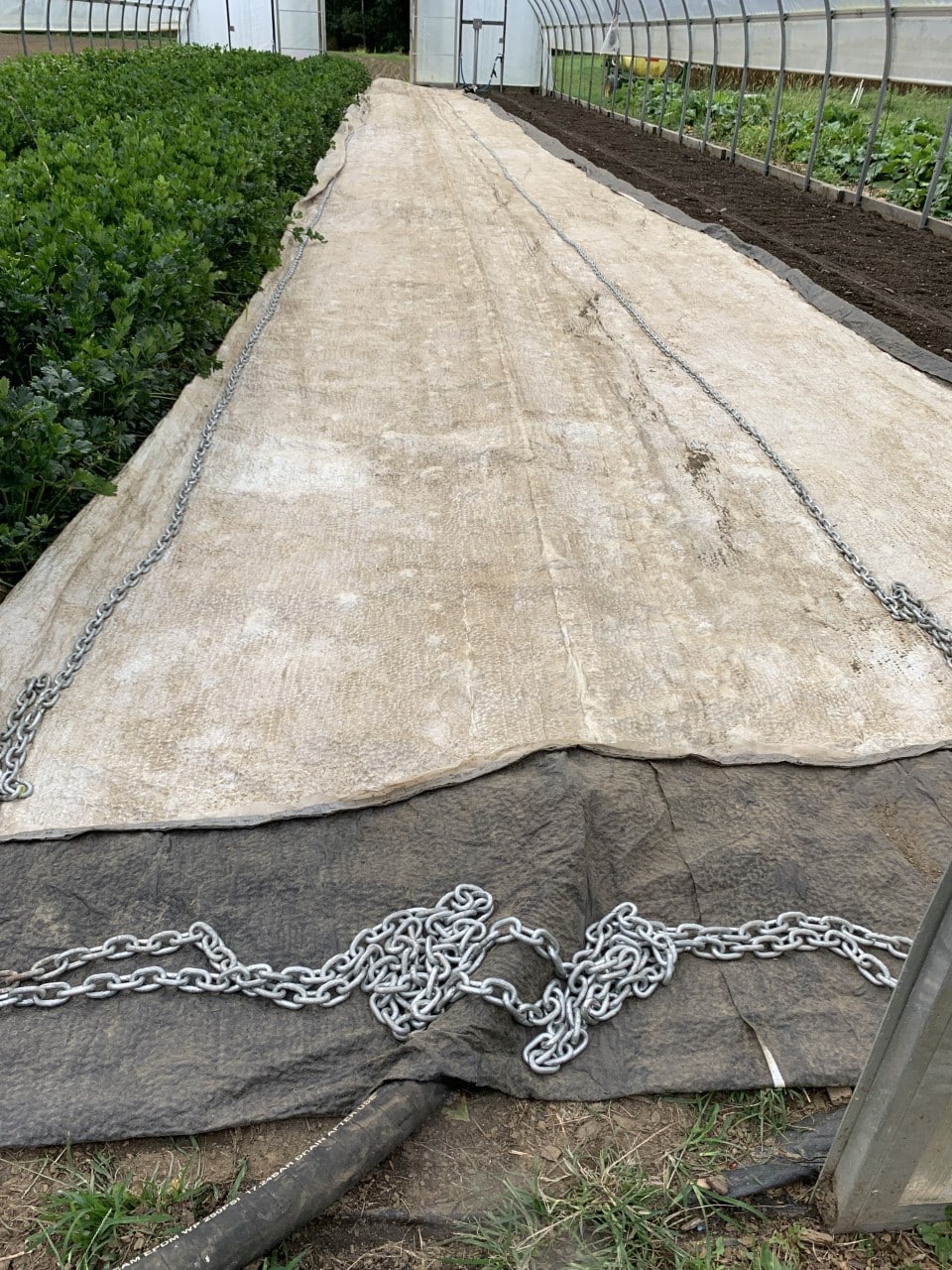 soil steaming tarp