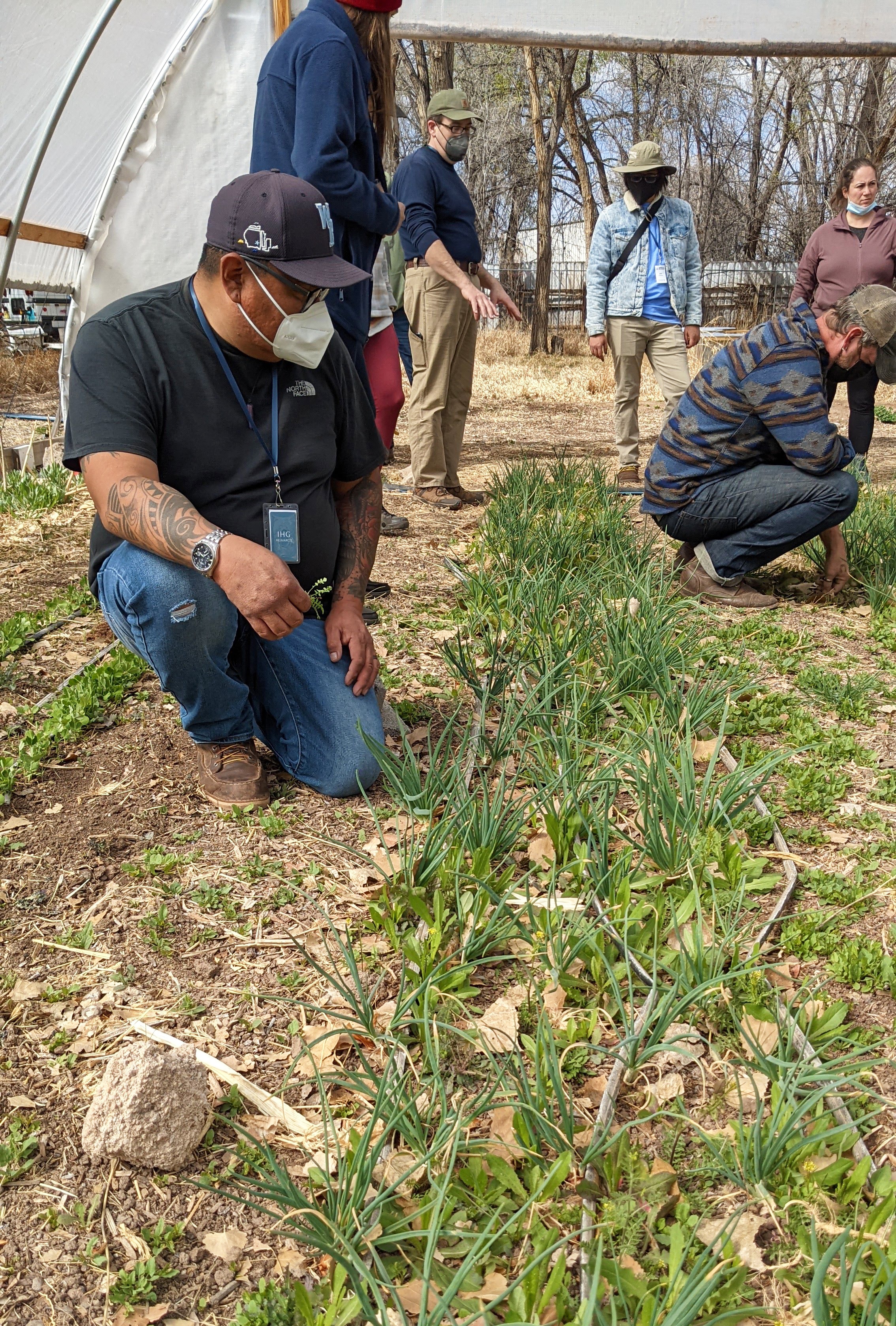 Randal Kelly, Nuevo México: «Armados para cultivar»