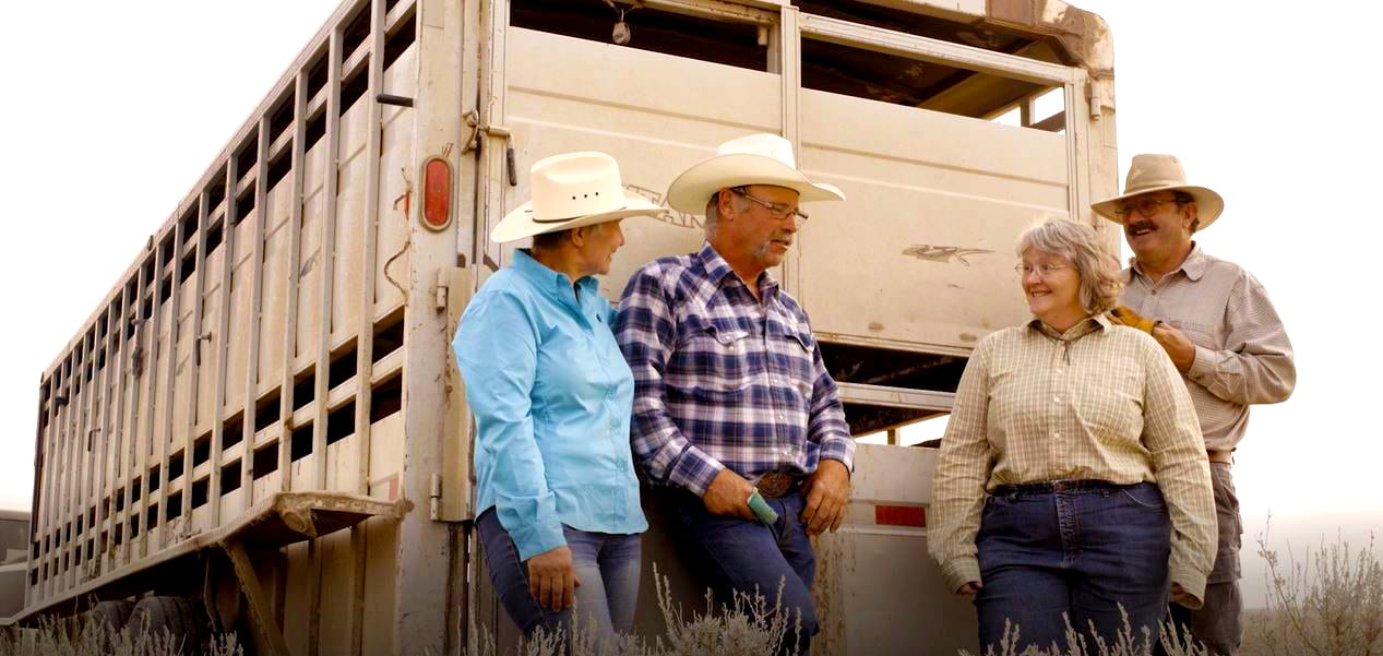 Ranchers chatting in the field