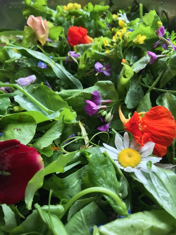 salad mix