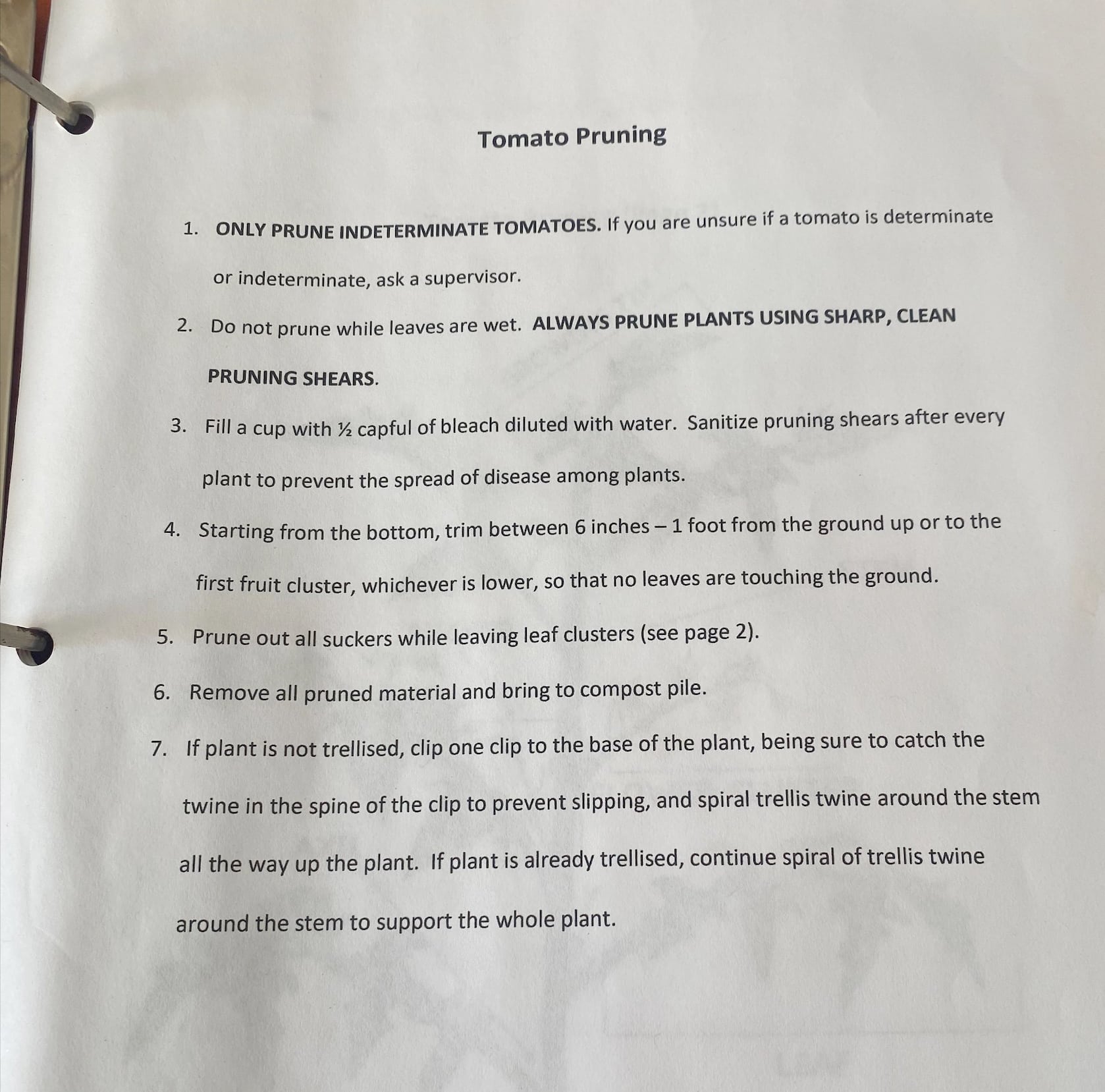 Sample SOP for tomato pruning