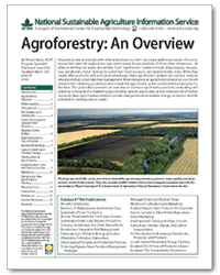 Agroforestry: An Overview cover