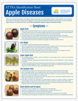 ATTRA Identification Sheet: Apple Diseases cover
