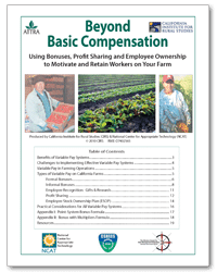Beyond Basic Compensation cover