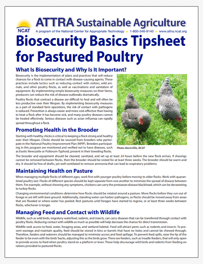 Biosecurity Basics Tipsheet for Pastured Poultry cover