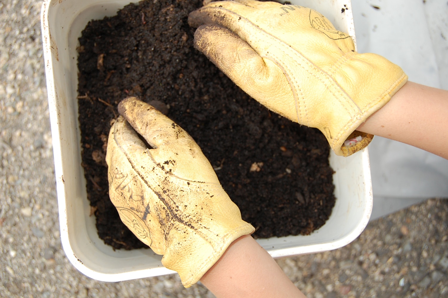 bucket of finished vermicompost