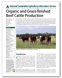 Organic and Grass-Finished Beef Cattle Production cover