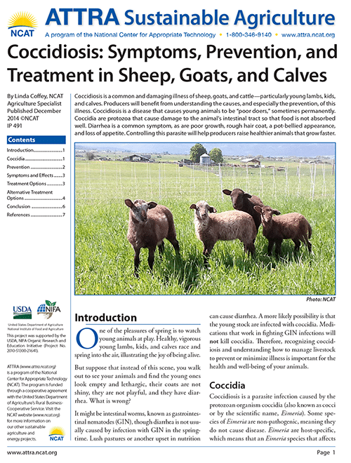 Coccidiosis: Symptoms, Prevention, and Treatment in Sheep, Goats, and Calves cover