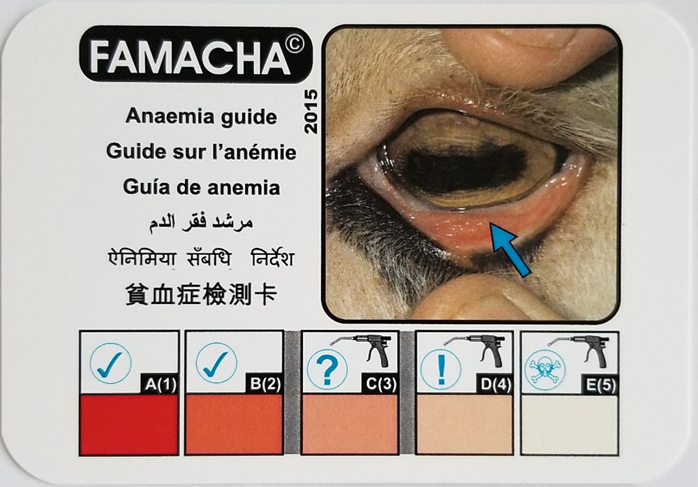 famacha guide