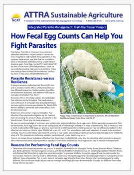 How Fecal Egg Counts Can Help You Fight Parasites cover