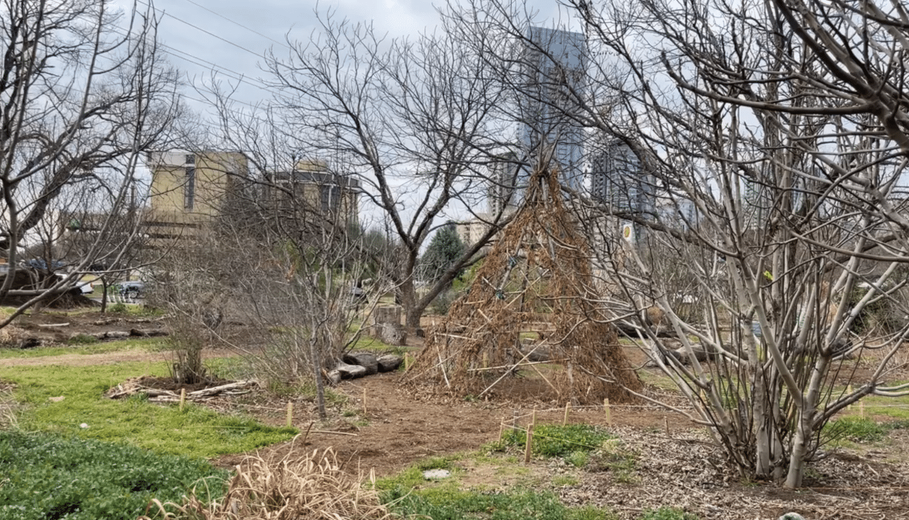The Festival Beach Food Forest has no fences and is open 24/7 for the public toaccess