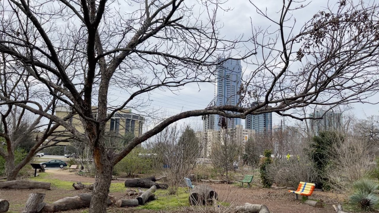 The Festival Beach Food Forest in Austin, Texas