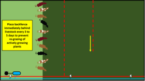 Figure 5. Step 3.