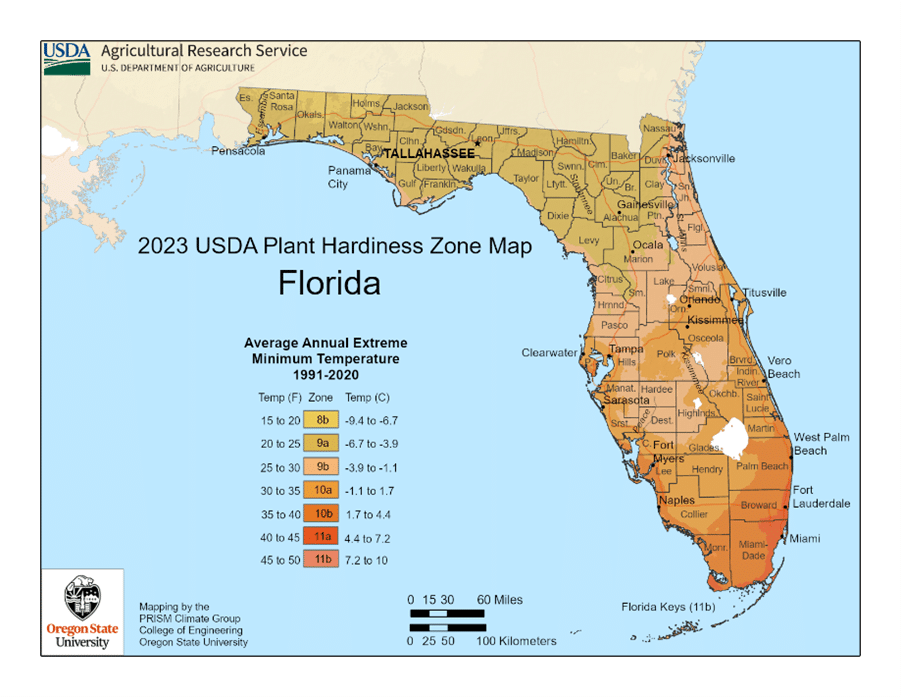 Mapa de las zonas de rusticidad del USDA en Florida