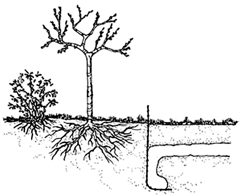 Example of barrier fencing. 