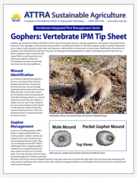 Gophers: Vertebrate IPM Tip Sheet cover