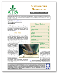 Grasshopper Management cover