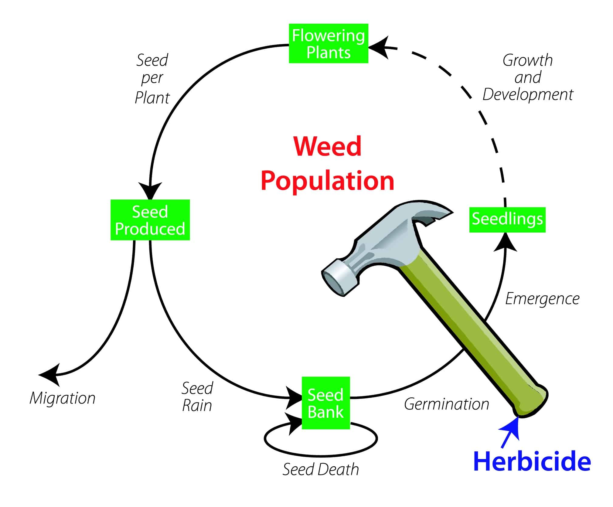 Figure 1: The Big Hammer
