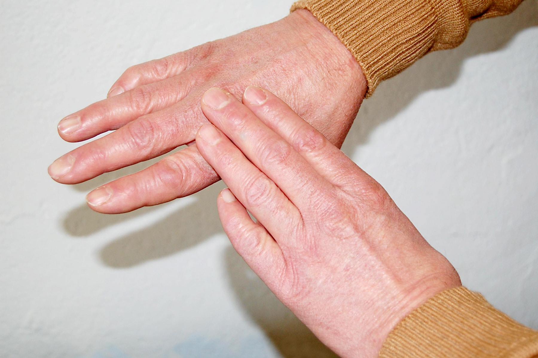 A finished lamb's backbone would feel more like extended knuckles with no sharp protuberances, as shown in this photo