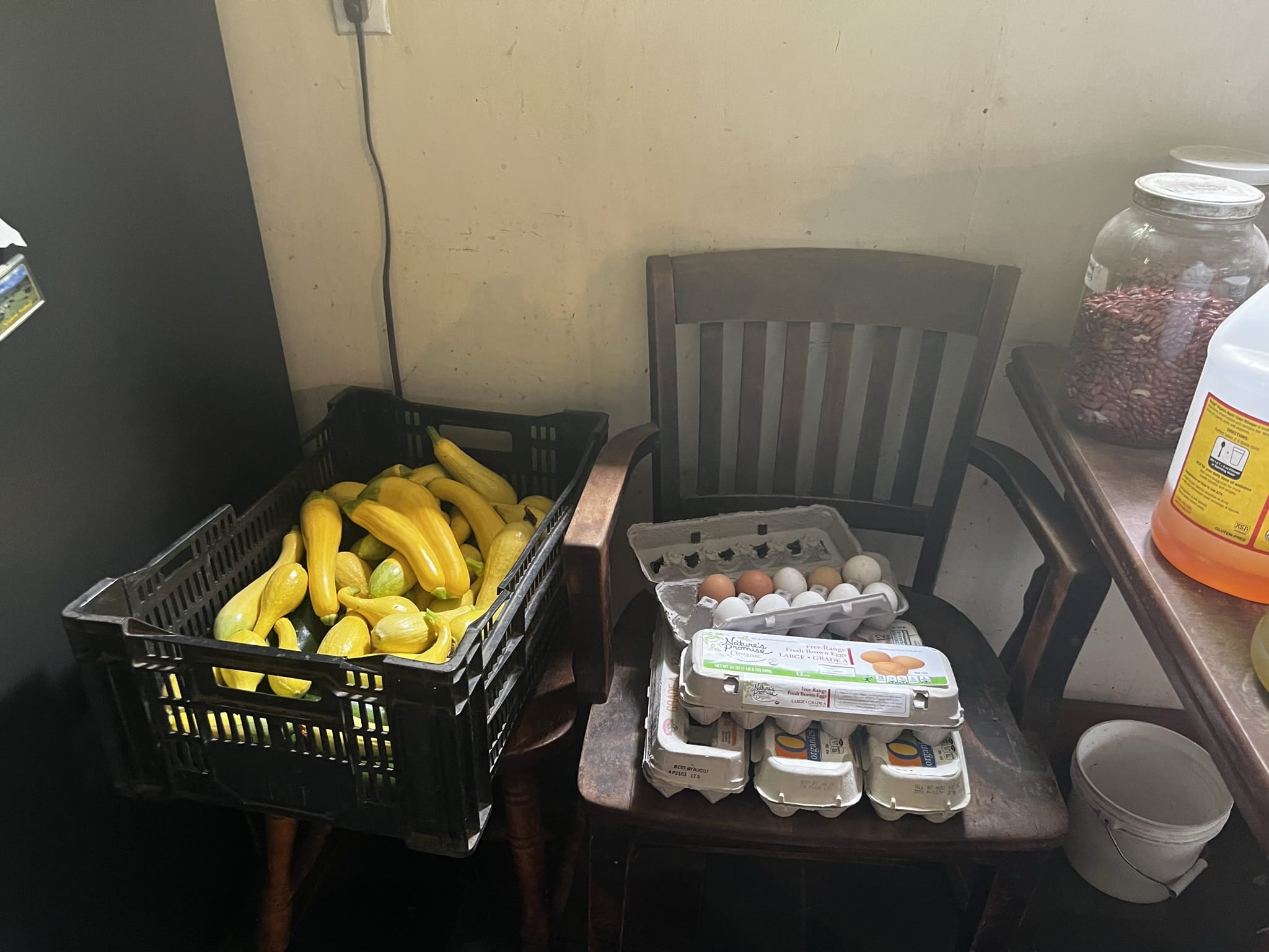Harvested squash and eggs at Many Hands Farm