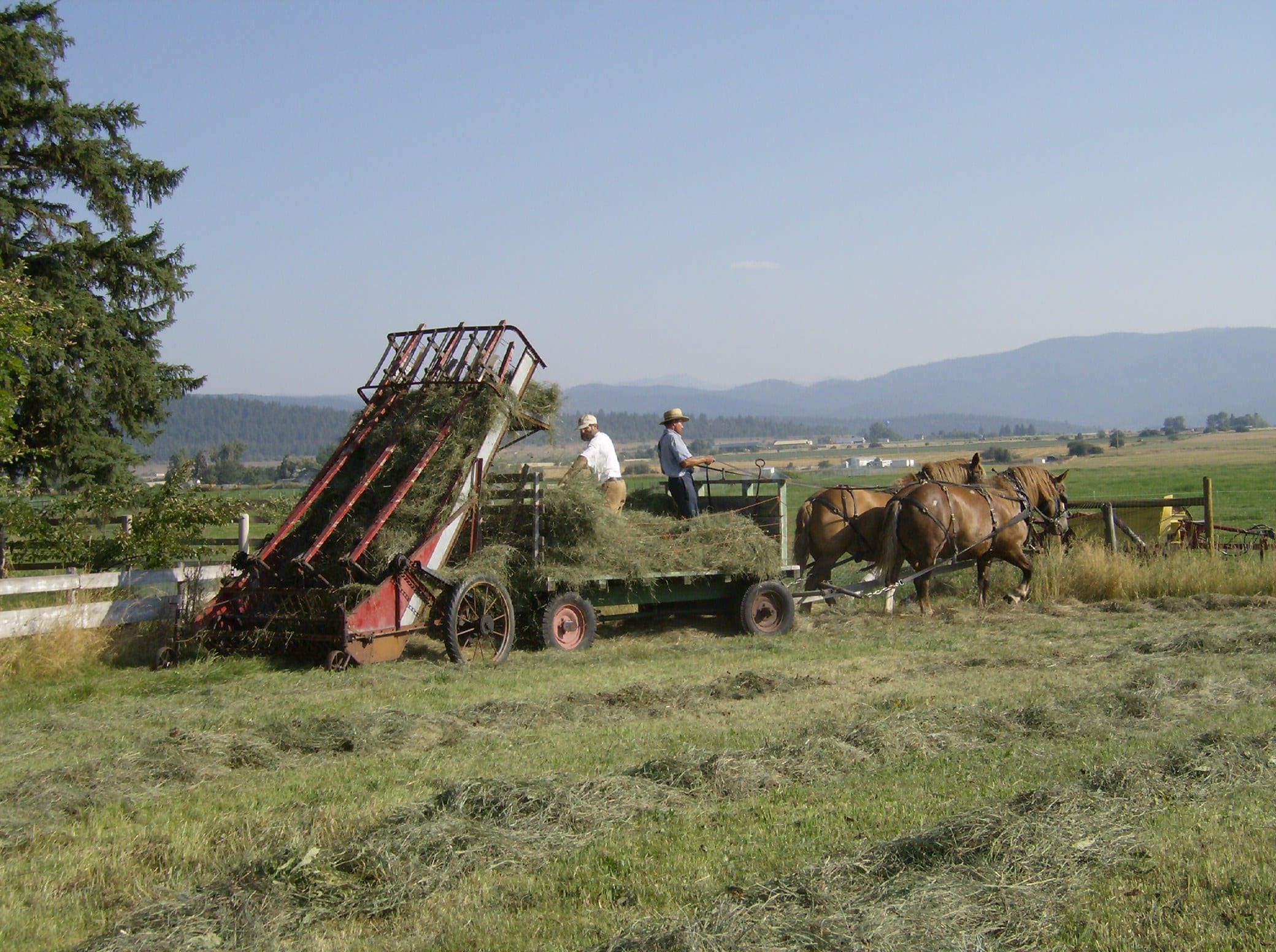 cargador de heno