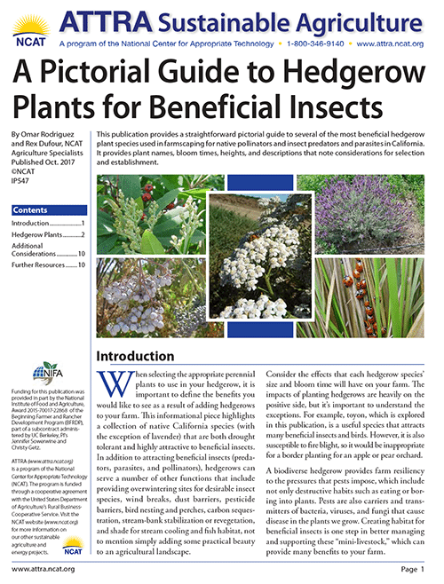 A Pictorial Guide to Hedgerow Plants for Beneficial Insects cover